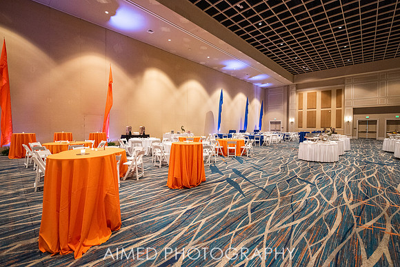 AIMED 2019  1-14.jpg