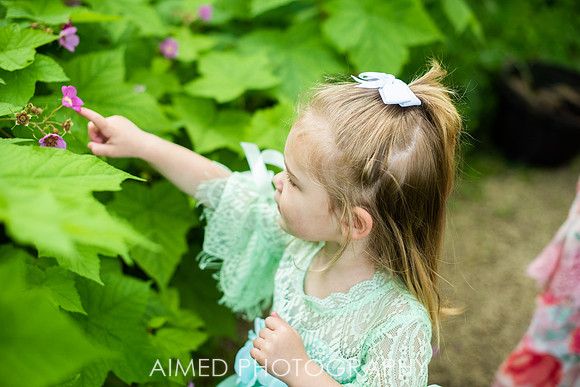 AIMED 2019-10.JPG