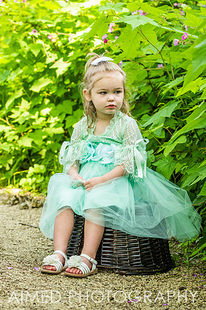 AIMED 2019-20.JPG