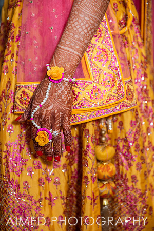 AIMED 6-10.JPG