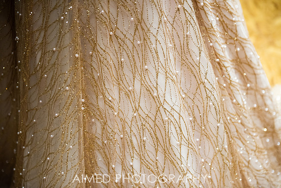 AIMED-39.JPG