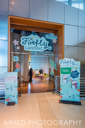 Firefly 2019-15.JPG