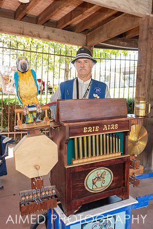 Fest. Machines 2019-70.JPG