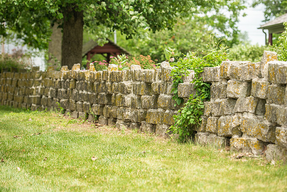 Limberlost 2021-4.JPG
