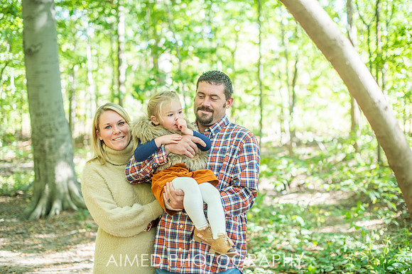 AIMED 2019-12.JPG