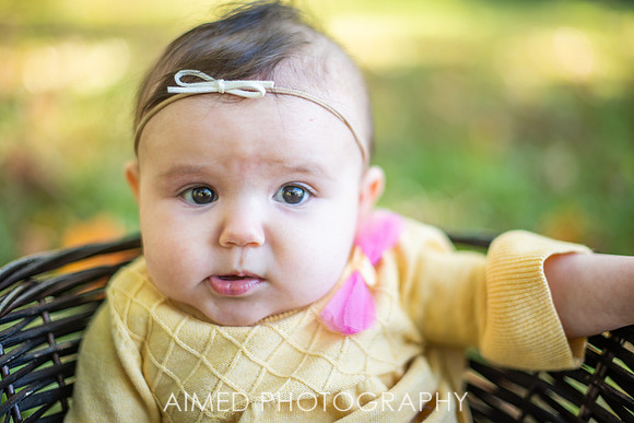 AIMED 2019-11.JPG