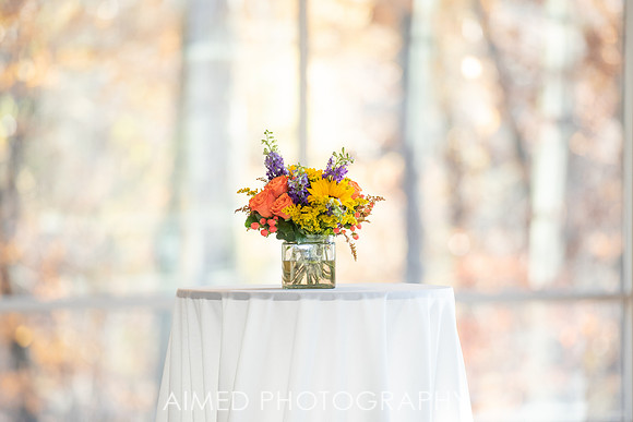 ISBA Reception AIMED2019-3.JPG