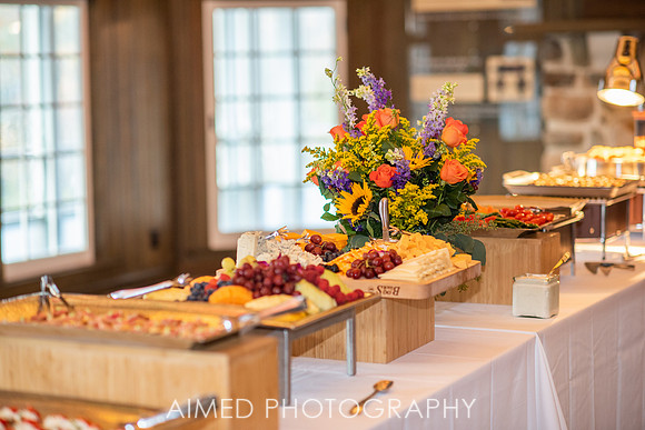 ISBA Reception AIMED2019-17.JPG