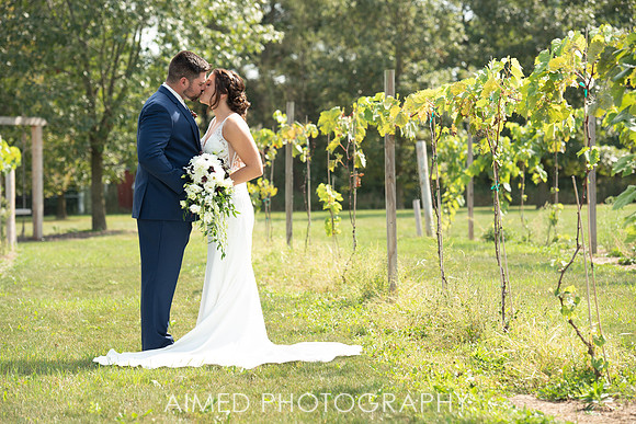 AIMED -56.JPG
