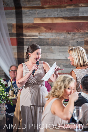AIMED 2-82.JPG