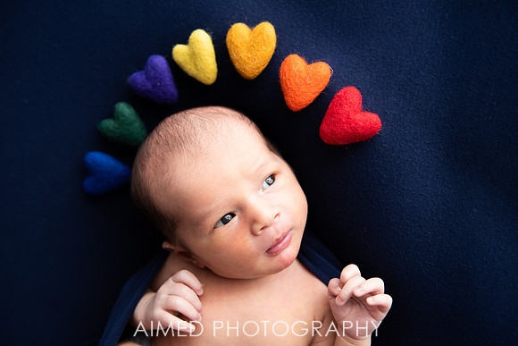 AIMED 1 2019-12.jpg