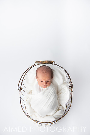 AIMED 1 2019-24.jpg