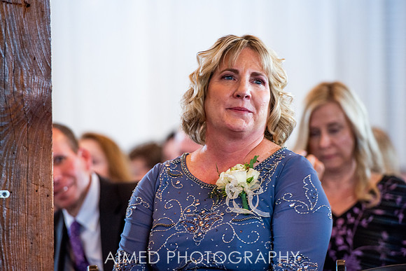 AIMED 2-30.JPG