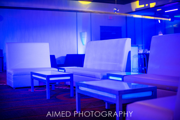 AIMED 2019-0394.jpg