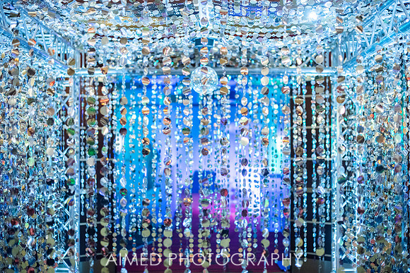 AIMED 2019-0387.jpg