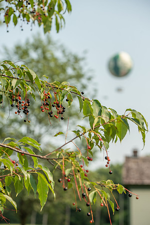 Balloon 2021-28.JPG