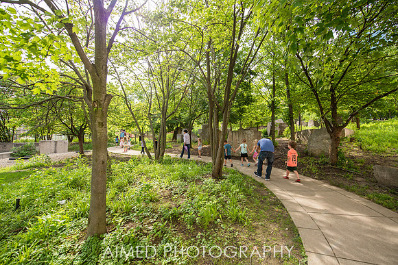 AIMED 2019 1-68.JPG