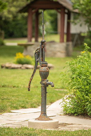 Limberlost 2021-7.JPG