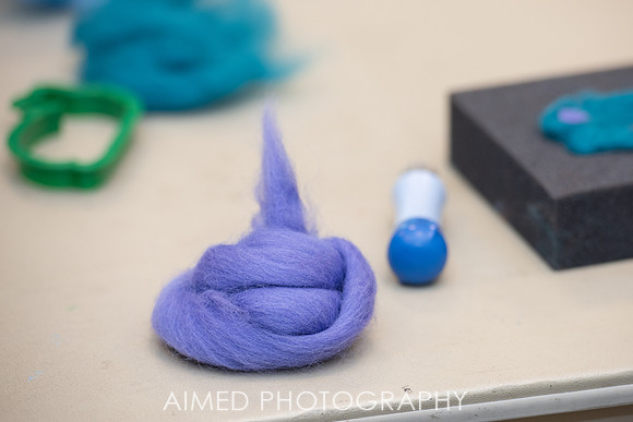 AIMED 6 2019-4.JPG