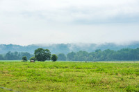 WhiteWaterCanal-4.JPG