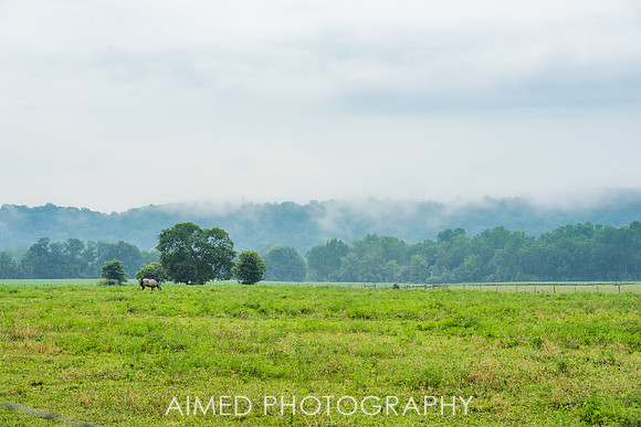 WhiteWaterCanal-4.JPG