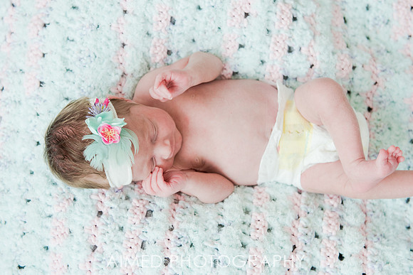 AIMED-88.JPG