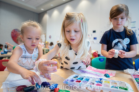 AIMED 2019 1-45.JPG