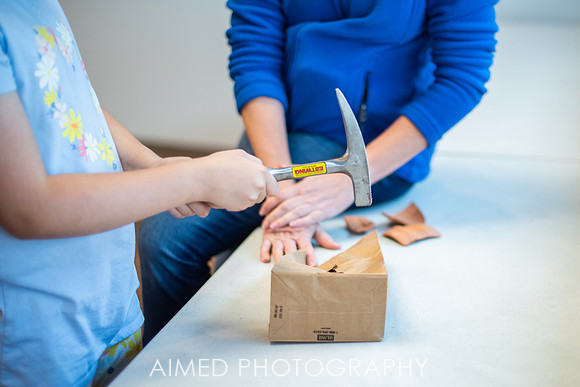 AIMED 2019-26.JPG