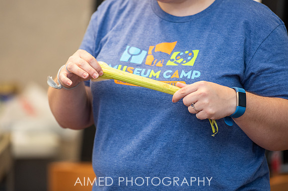 AIMED 5 2019 -53.JPG