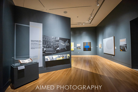 AIMED 2019 FH-3.JPG