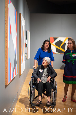 AIMED 2019 FH-12.JPG