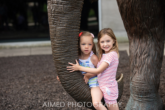 AIMED 2019 1-63.JPG