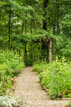 GSP 2021 - Site-62.JPG