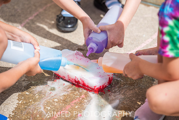 AIMED 2019 1-74.JPG