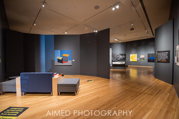 AIMED 2019 FH-2.JPG