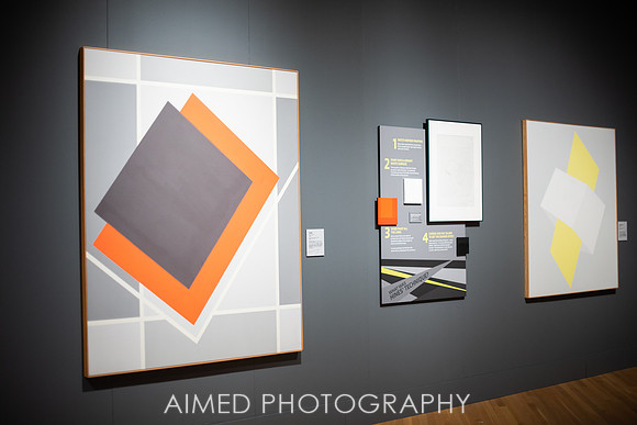 AIMED 2019 FH-25.JPG