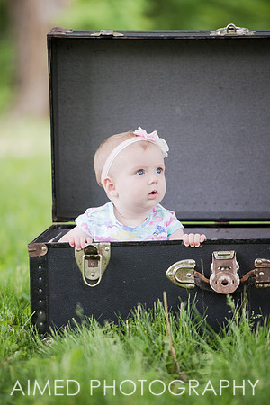AIMED-14.JPG