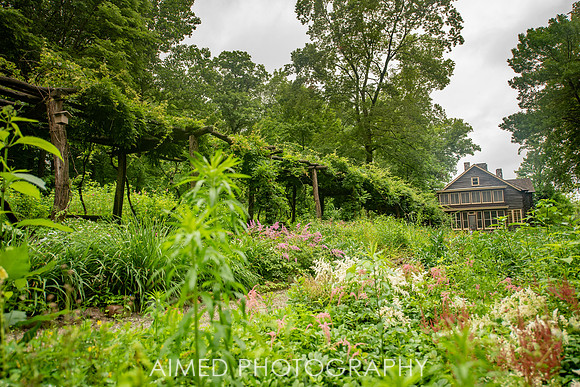 GSP 2021 - Site-58.JPG