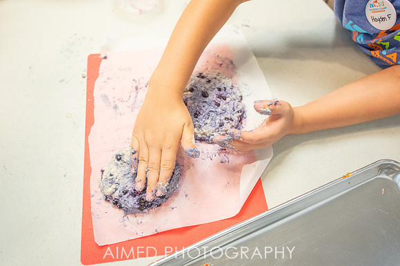 AIMED 5 2019 -42.JPG