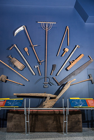 AIMED-5.JPG