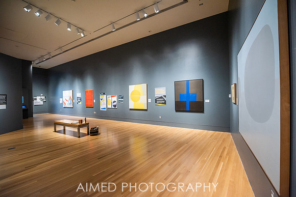 AIMED 2019 FH-4.JPG