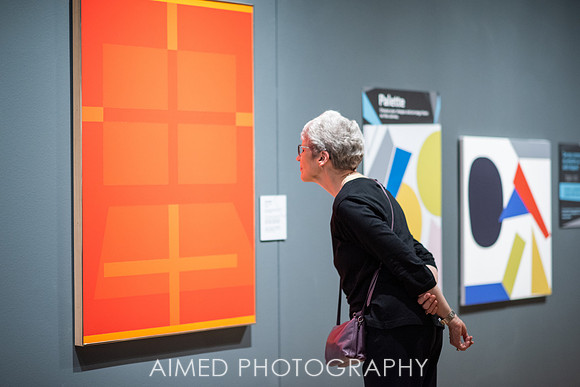 AIMED 2019 FH-92.JPG