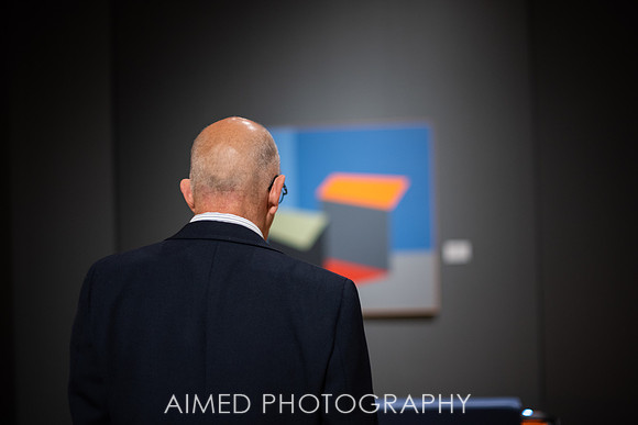 AIMED 2019 FH-19.JPG