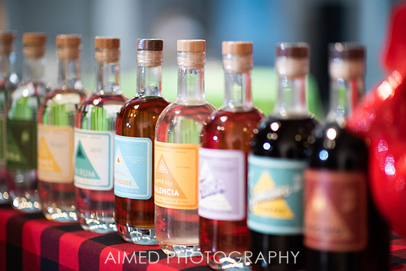AIMED 2019 FH-17.JPG