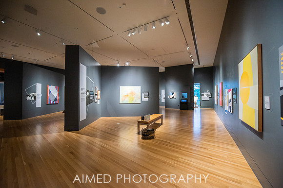 AIMED 2019 FH-5.JPG