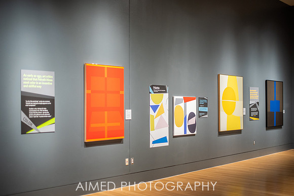 AIMED 2019 FH-7.JPG