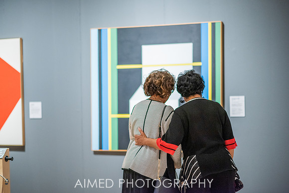 AIMED 2019 FH-100.JPG
