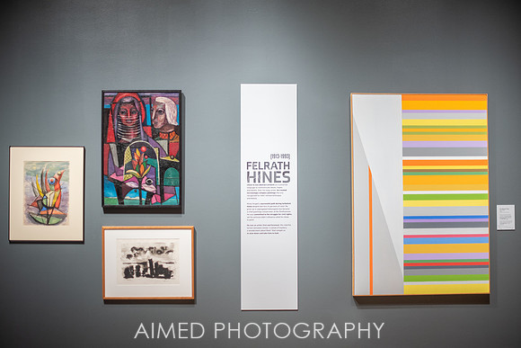 AIMED 2019 FH-1.JPG