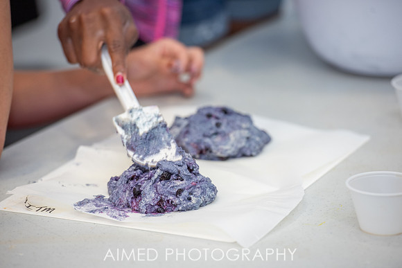 AIMED 5 2019 -47.JPG
