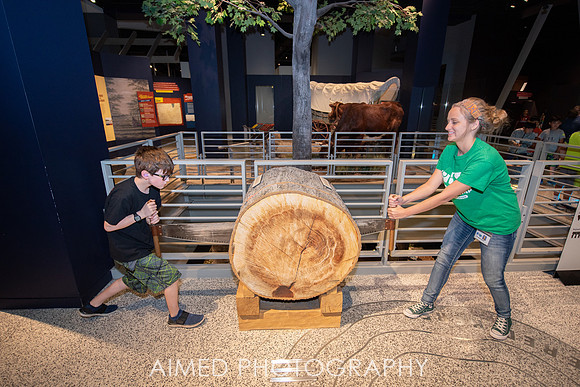 AIMED 2019 -44.JPG